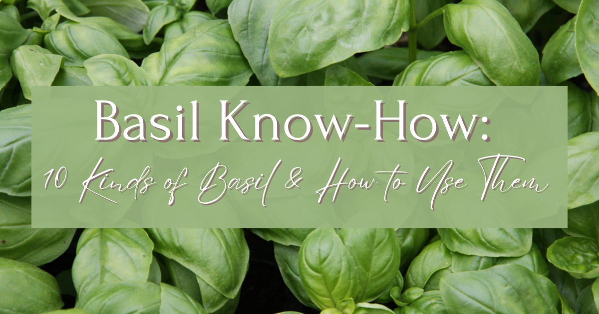 Basil Know How 10 Kinds of Basil and How to Use Them Herb s